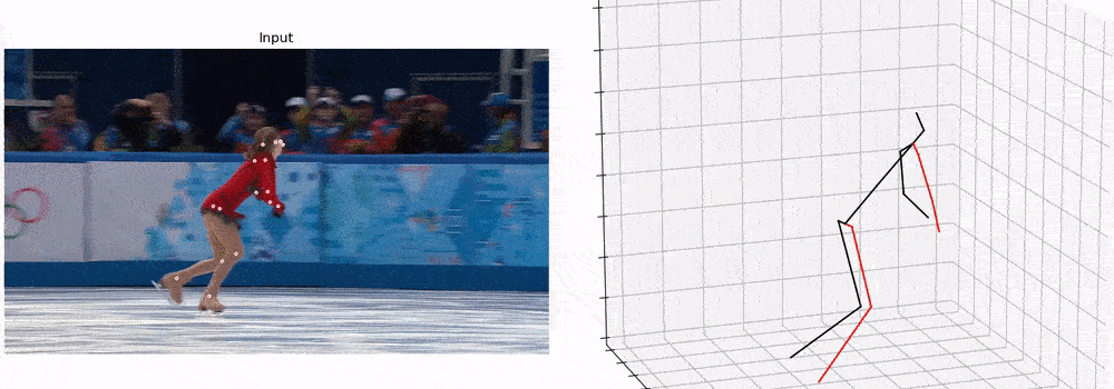 Pose Estimation in Videos